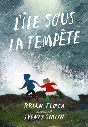 L'île sous la tempête